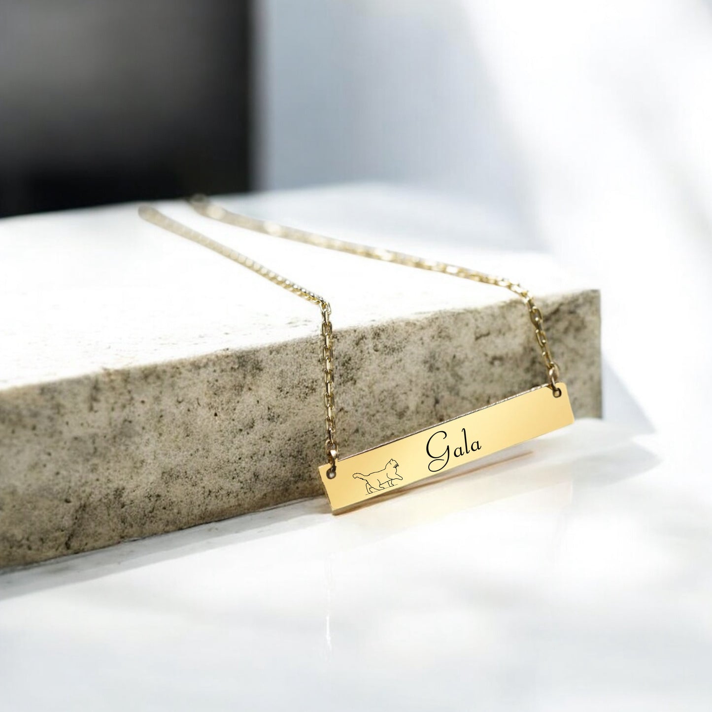 Bar Necklace with Pet