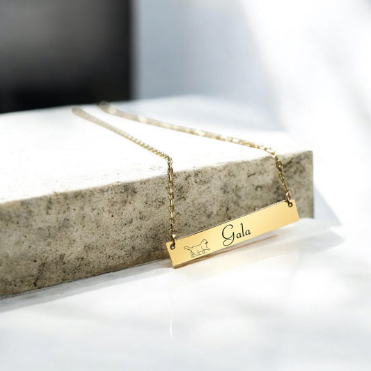 Bar Necklace with Pet