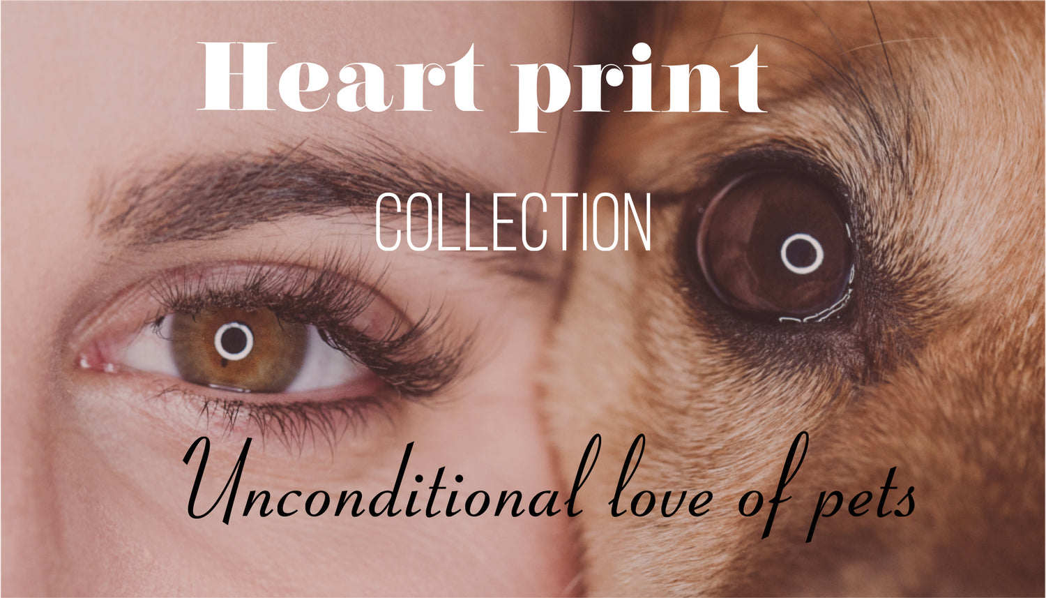 Heart print Collection  .