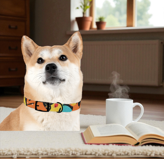 Abstract Color Burst Dog Collar — Bright Orange & Teal Geometric Pet Collar