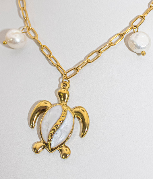 Golden Turtle